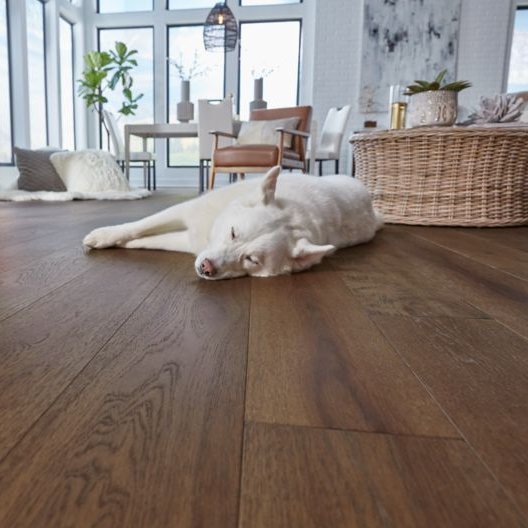 The best engineered flooring for homes with pets