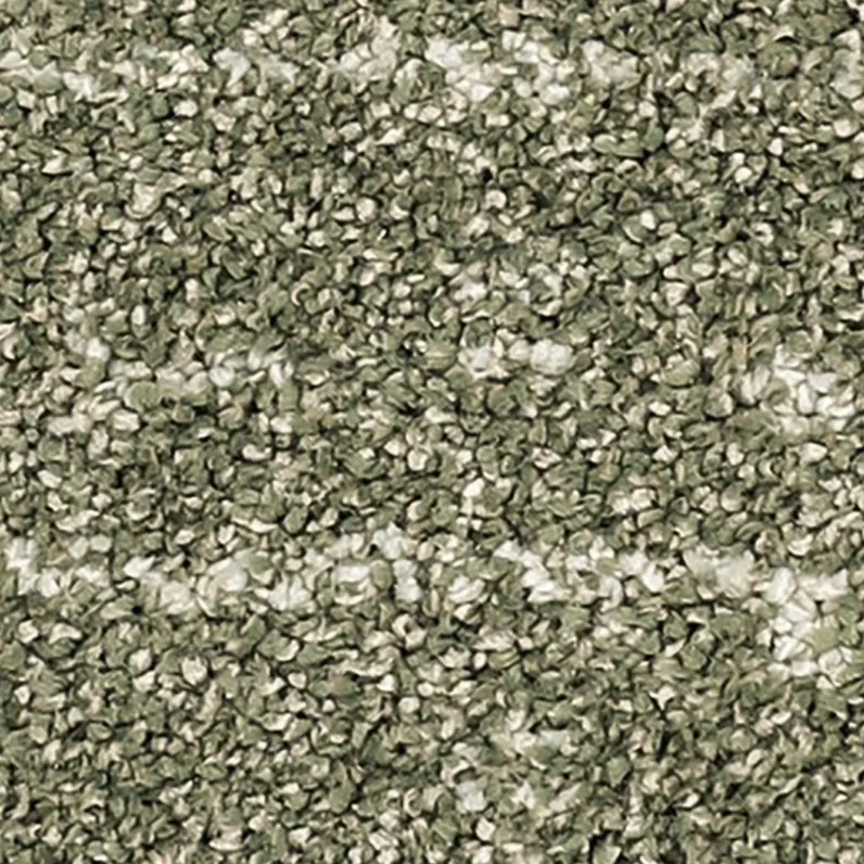 PETPremier® carpet: Paw-Some Plaid